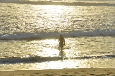 DSC_7257 (Large).JPG